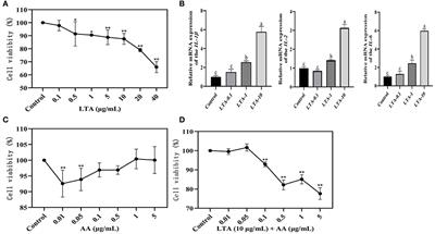 Effects of lipoteichoic and arachidonic acids on the immune-regulatory mechanism of bovine mammary epithelial cells using multi-omics analysis